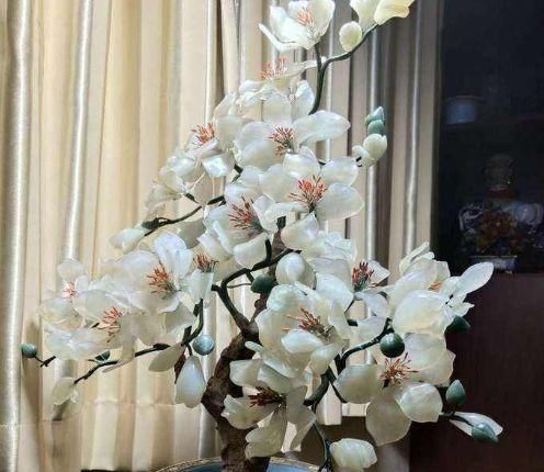 「清香木」温度升高,厕所会产生臭味,快养上“4种花”,好看还能“除臭”