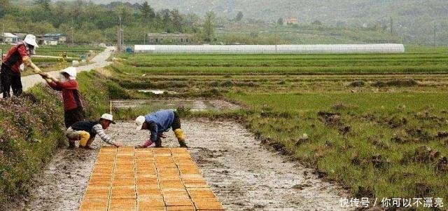 明年，三大土地法规将出台，重点整治3类问题，有些人要遭处罚了
