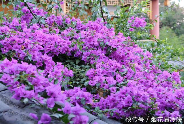 中国有一个按照姓氏收费的景点，仅对这两个姓氏免费，看看有你吗