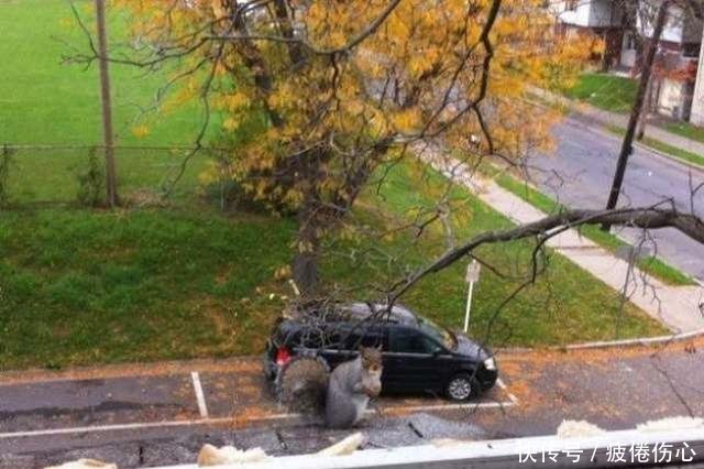 一组错觉照片证明眼见不一定为实！