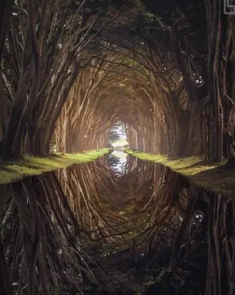 这几张张未经PS的照片，每一张都美得让人窒息！