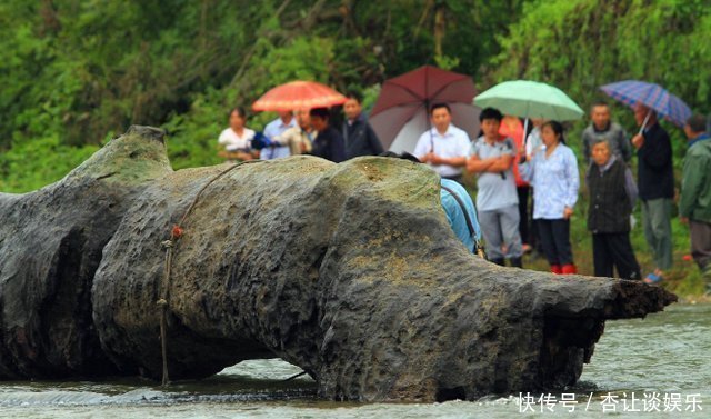 农村小伙发现河里一异物,专家鉴定后,当地政府立即赶到！