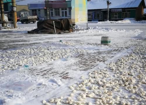  不少@东北版“速冻饺子”场面震撼，“天然冰箱”引南方人羡慕：