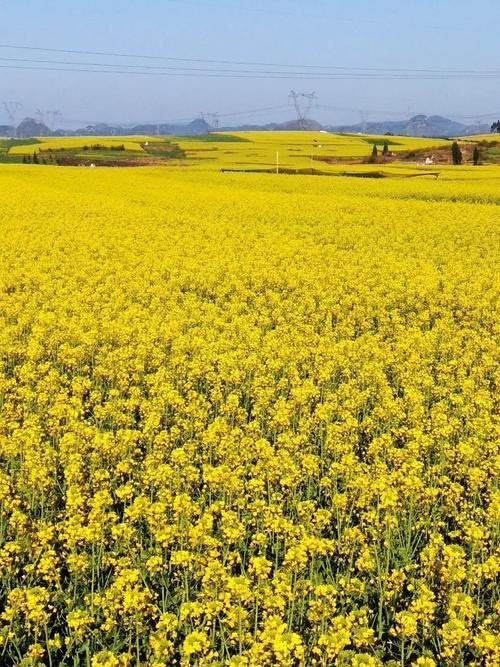 旅行达人必去的10个目的地,你去过几个?