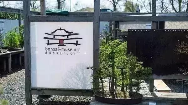 走进心之向往的盆景园 杜塞尔多夫盆景博物馆