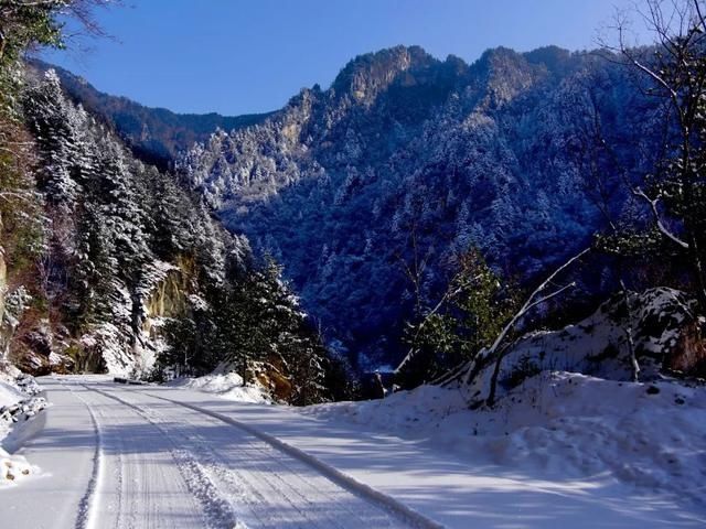 初冬已至,降温来袭 | 陕西这些地方已经下雪啦!想看雪景的走起