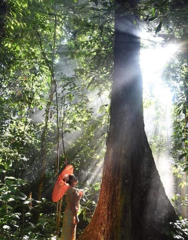 中国最美的50个地方，你去过几个