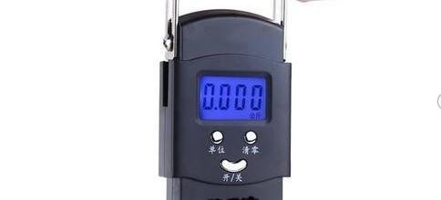 「钓鱼方式」钓鱼证美国123.55美元、德国240欧元,国内需要多少钱