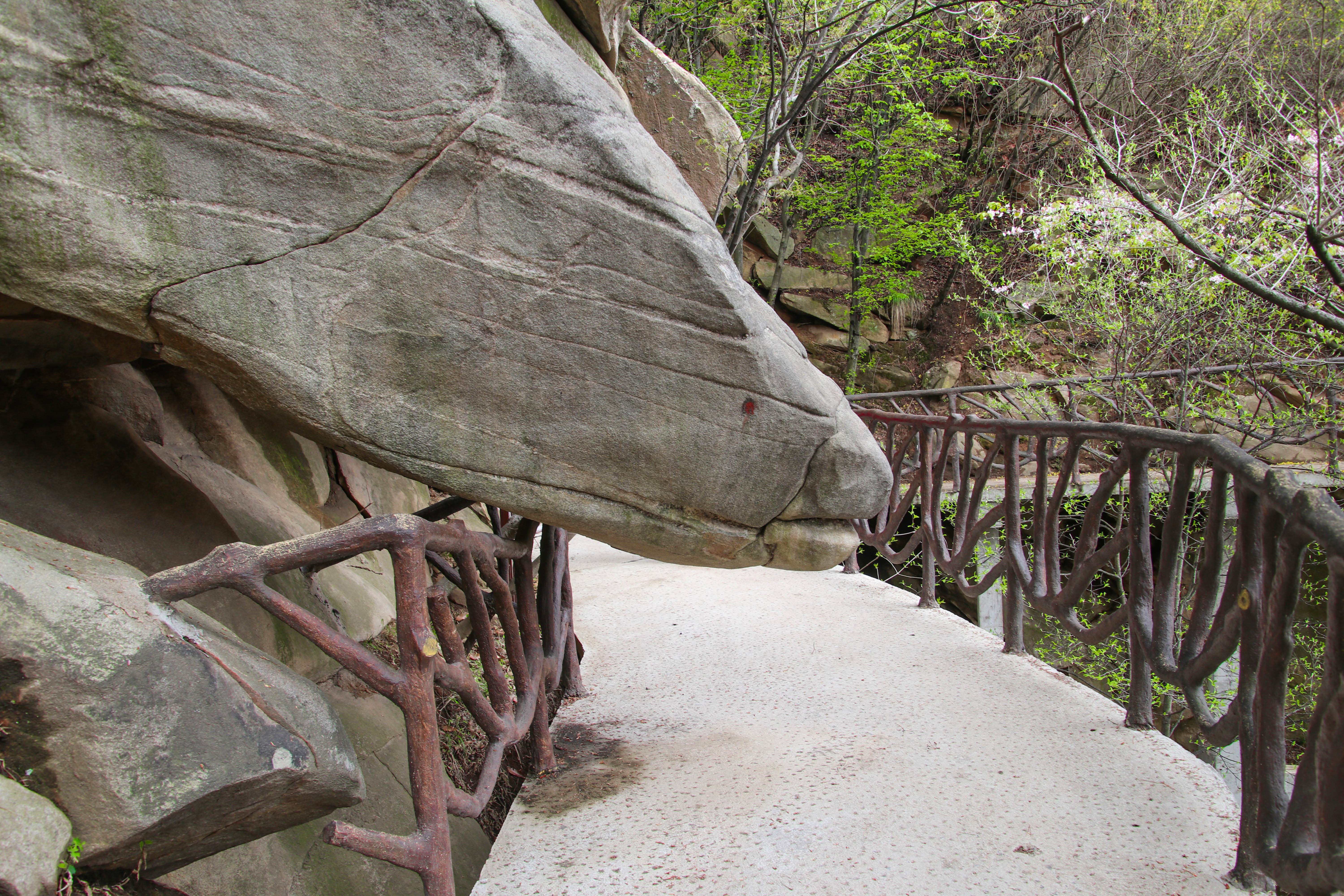 来沂蒙山，我“养”你啊