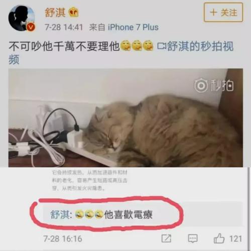 舒淇映射讽刺崔永元；爱情公寓电影由烂片改编；秦岚承认打过瘦脸