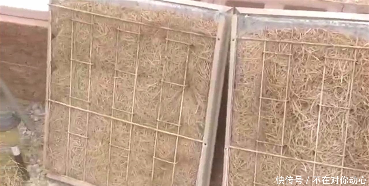 印度很难看见空调，50度高温如何度过？网友：太有想法了