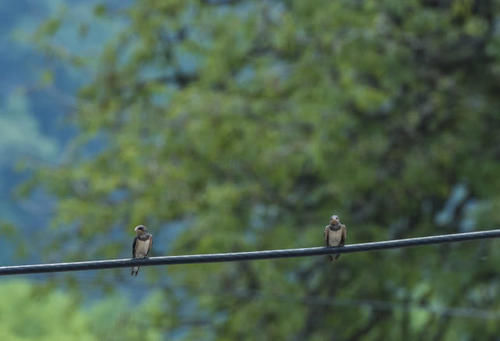 距离天堂最近的国家,让我们来一场心灵之旅吧