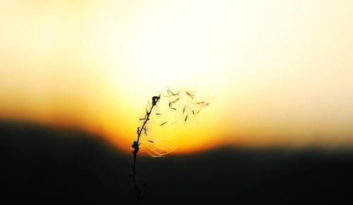  【养老金】农村社保交满15年后该领多少钱？计算方法农民朋友都