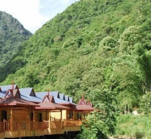 中国十大最美森林之一，被称为“东方亚马逊”，走进云南热带雨林