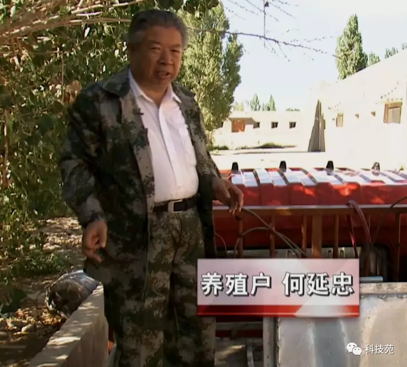 沙漠里养鱼见过吗?还不快来长长见识!