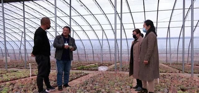  「年收入」丰县一小伙种植多浆植物，年收入达三十万！