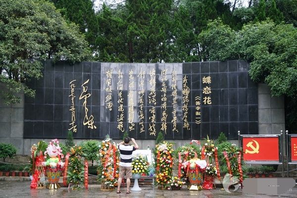 杨开慧墓，29岁为国捐躯，墓前两子墓左右相伴，英雄事迹令人落泪