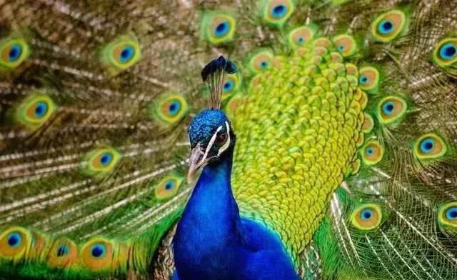 广西周末自驾游路线，一路惊喜，一路美景，体验夏天最美的样子！