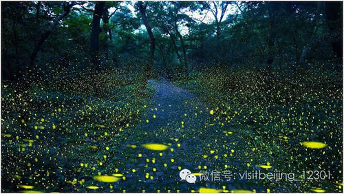 情人节赴一场梦幻之约 这些堪称“天空之镜”的景点自带仙气