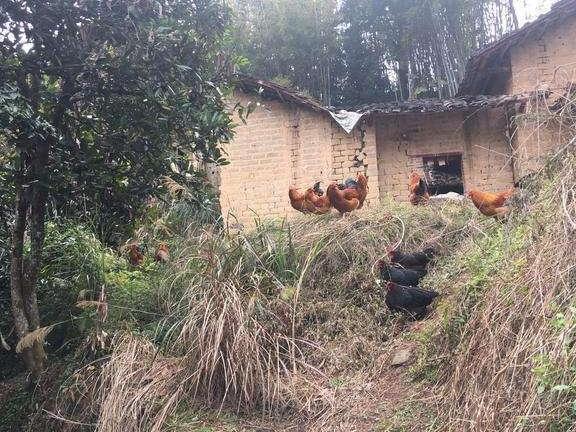 企业和自费交15年社保，退休后哪个养老金更高？说出来你都不信