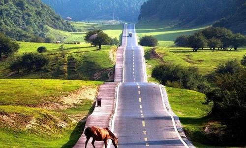 自驾游中必带的4样东西，我都是记在备忘录里，走之前再看一遍