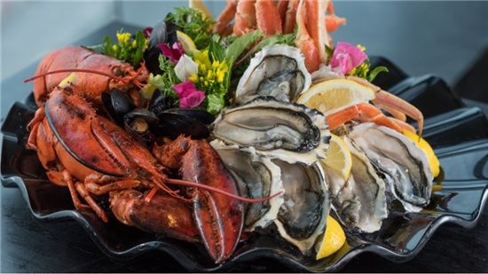 相克食物大控诉:谣言害我们无法相聚