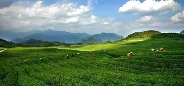  「慢慢」中国212个AAAAA景区全在这里, 存起来, 慢慢走完!