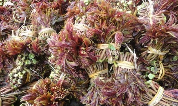  【奢侈品】蔬菜中的奢侈品，价格一年比一年低，农民还要考虑种