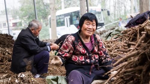  「档位」2019年农村一次缴纳9万元，那么60岁后农民能拿多少，你