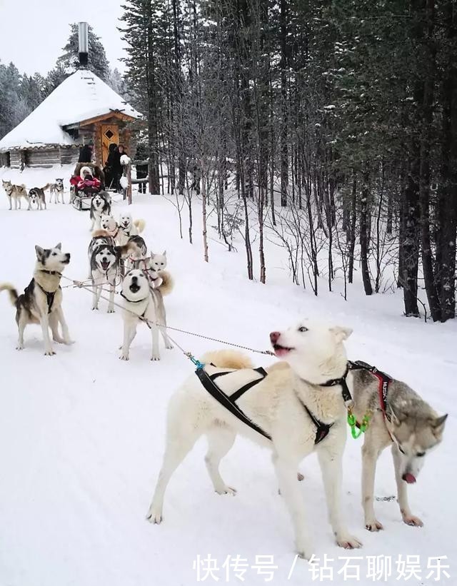以为看极光又贵又远吗?就在中国不远处,全球看极光最便宜的地方