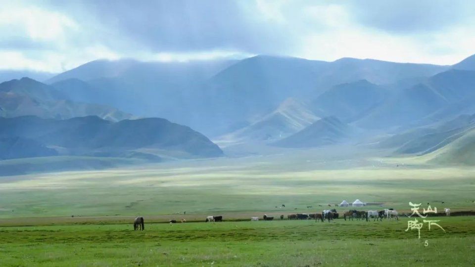 一遇新疆误终身，从此天堂是路人