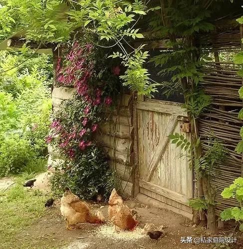 {私家庭院设计}这才是乡村庭院该有的样子！