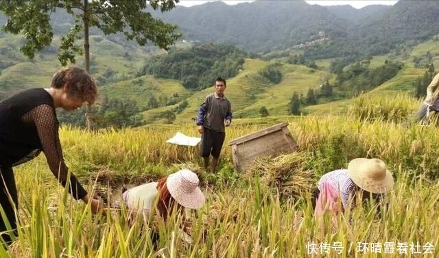  【回村】农村土地荒芜比较普遍，怎样才能使农民自动回村生产粮
