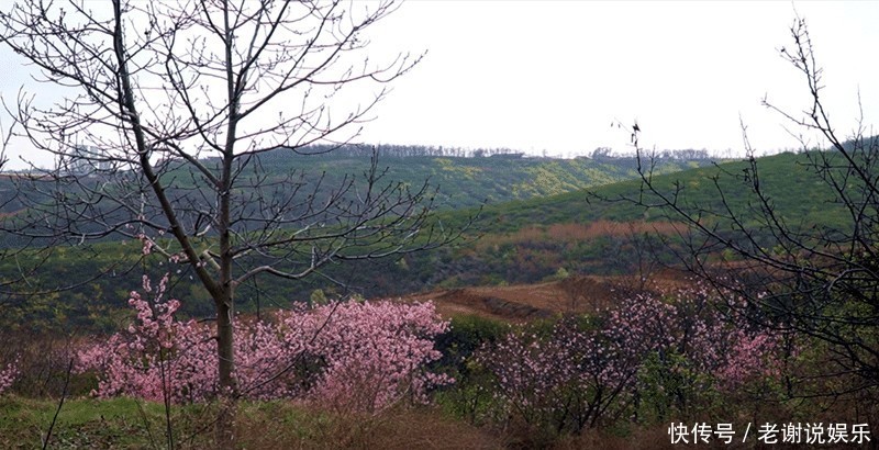 『眷顾』就恋这一片热土,渭北铜川,这块被春天眷顾的土地