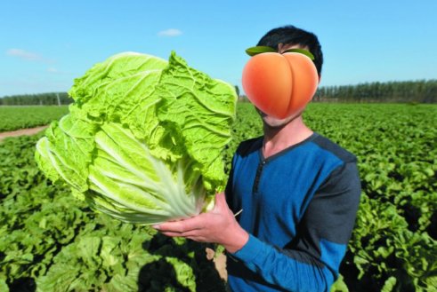  山东的蔬：浩克山东丨山东“巨型食物”之谜