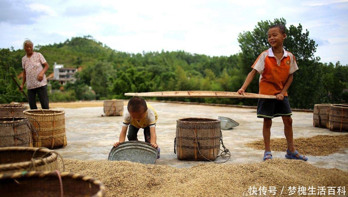 农村好消息！未来2年，村干部带头推行“4化”福利，准备好迎接