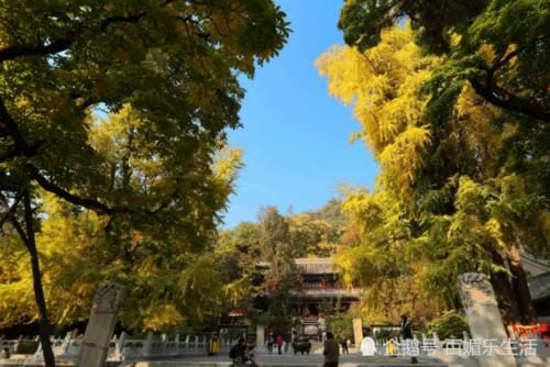 唯一一座门口有武警的寺庙,地位比少林寺更高,网友:涨知识!