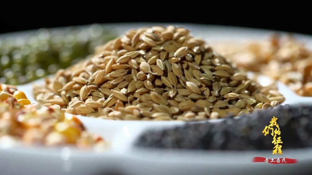  「创造奇迹」中国碗里装满中国粮！看，这片神奇的土地如何创造