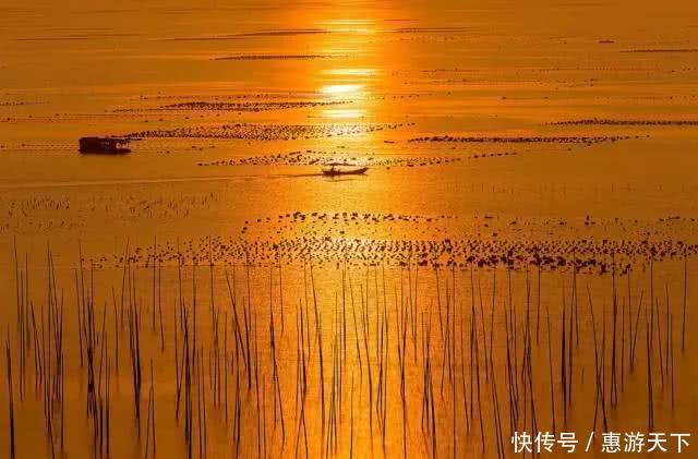 人间三月，桃红柳绿，杏花春雨，最美江南！