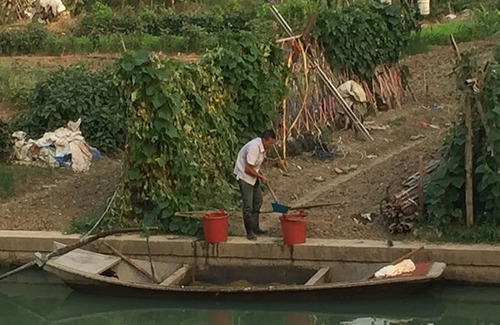 专家：农民居然用粪水浇菜，摘下来可以吃吗？