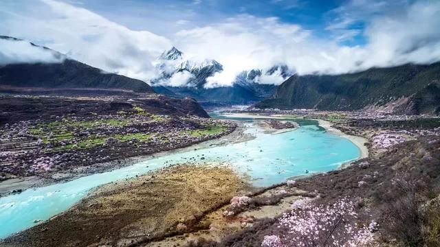 2019年，去林芝看桃花！