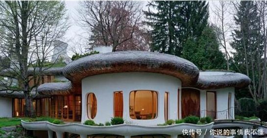  深圳@看完德国的富人区，再看中国的富人区，一个住富豪一个住土豪