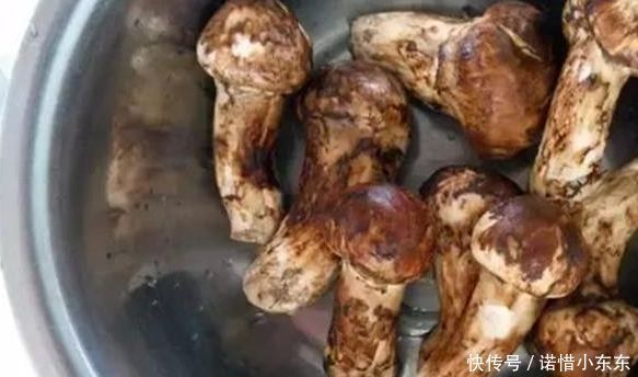 在南方农村生长着一种野蘑菇，极其稀少罕见，一斤可卖上千元！