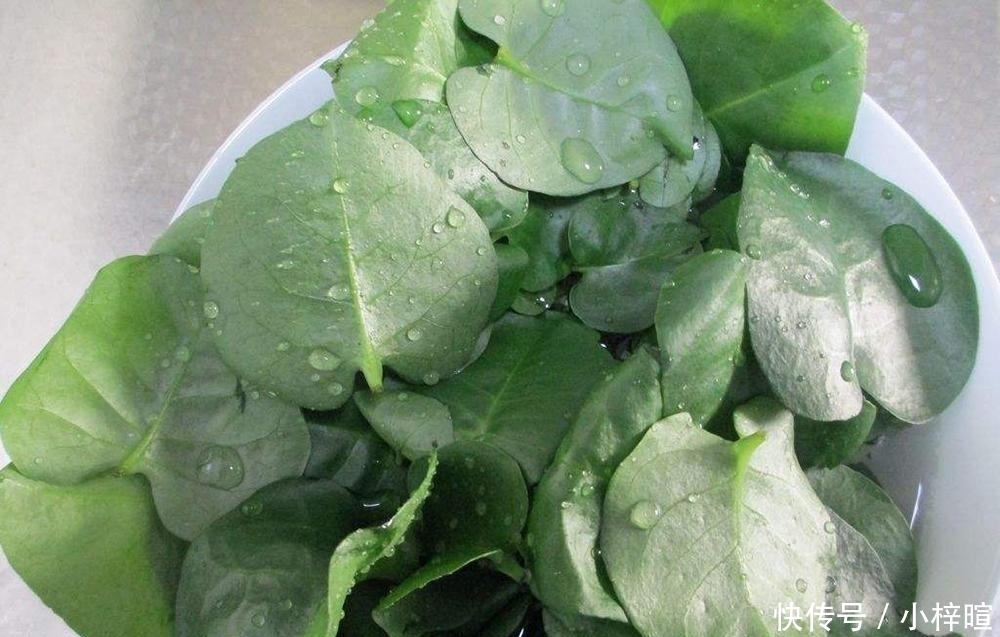  「外来物种」一周能长1米，在印度泛滥成灾没人吃，引进我国却卖8元一斤！