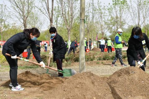  『全民』今年增绿20万亩！北京建成14个“互联网+全民义务植树”基地