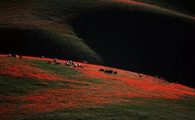 喜欢自驾吗？这十条线路你一定有喜欢的