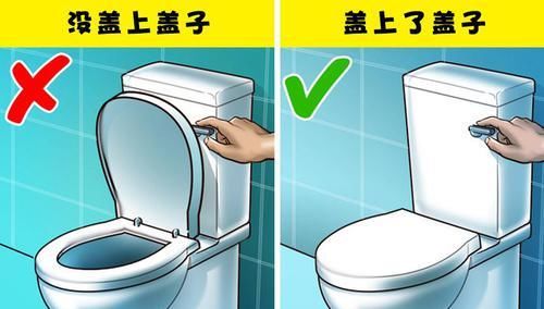  『细菌』大多数人在卫生间里所做错的7件事情