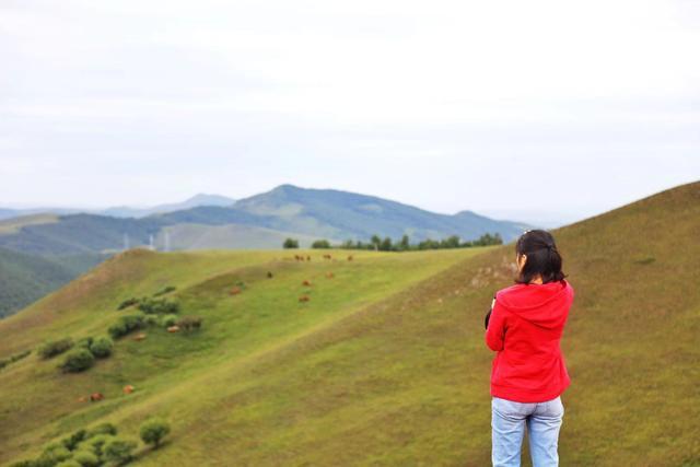 丰宁除了坝上草原，还隐藏着一个中国最美森林自驾者的天堂