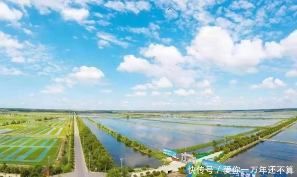  出水■“蟹王”出水！九龙口大闸蟹受到市民追捧