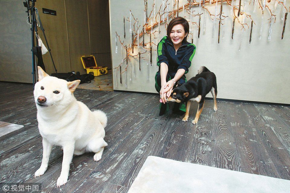 关之琳1.5亿香闺曝光衣帽间满目玲琅 蹲地逗宠物狗似回到少女时代